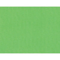  Placa de E.V.A Lisa - Verde Limão